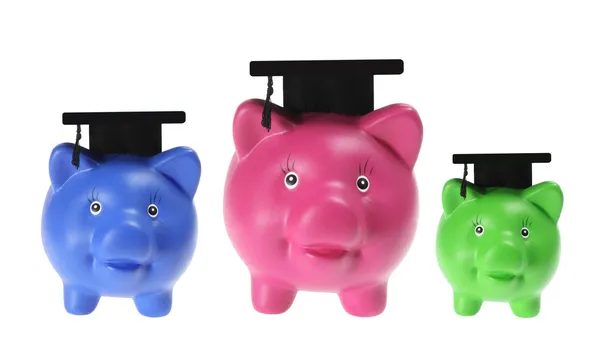 Sparschweine mit Hypotheken — Stockfoto