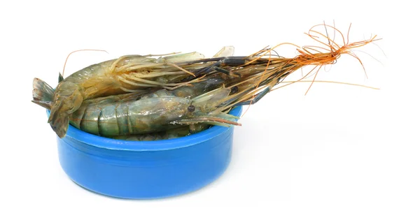 上一个塑料碗生虾 — 图库照片