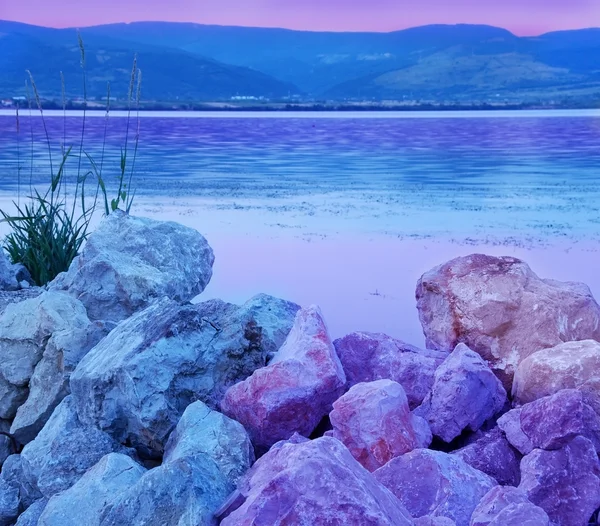 Синий фиолетовый берег реки — стоковое фото