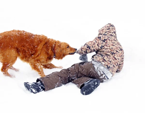 Jongen spelen met hond op sneeuw — Stockfoto