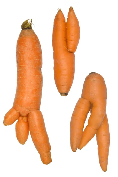 stock image Unusual growth of carrots