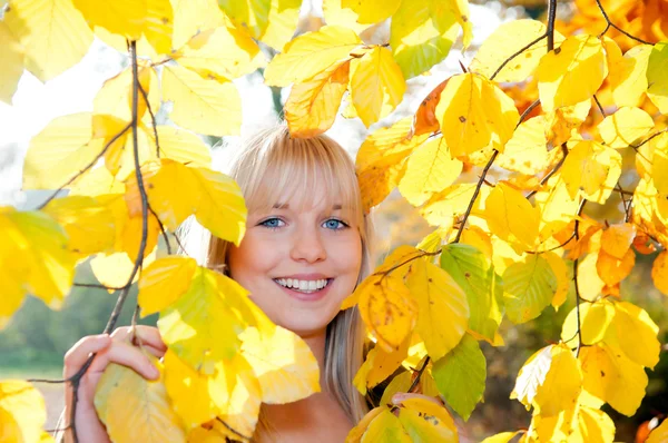 Женщина смотрит сквозь осенние листья — стоковое фото