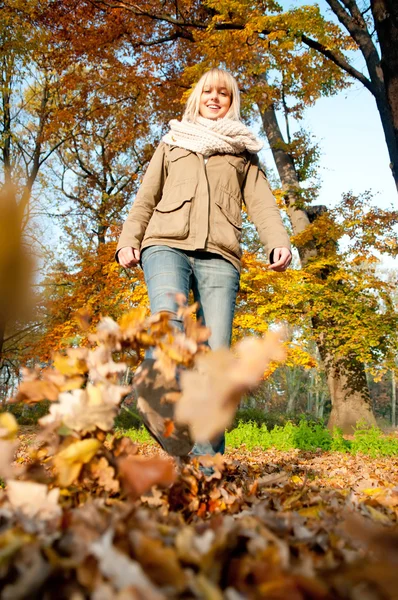 Frau spielt mit Herbstblättern Stockbild