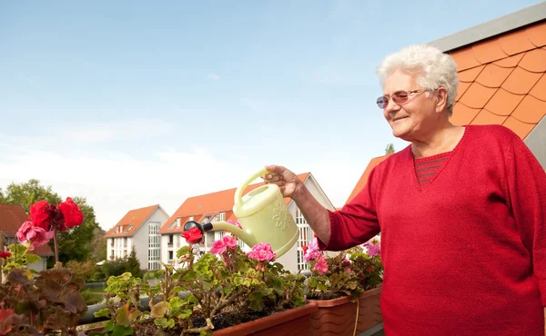 Stara kobieta, podlewanie kwiatów — Zdjęcie stockowe