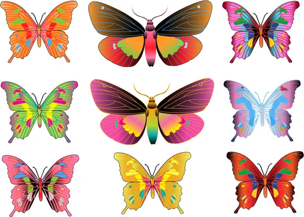 Serie di diverse farfalle multicolori - vettore — Vettoriale Stock