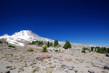 Stark Mount Hood