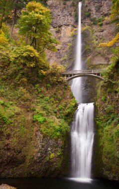 Multnomah Falls Vertical Right clipart