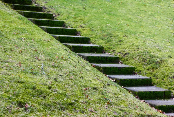 Escaliers en béton diagonaux — Photo