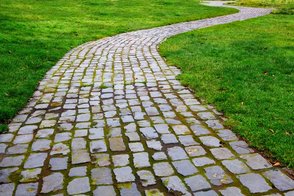 Curvy Brick Path in grass — Stock Photo, Image