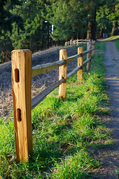 Fenced Path to Woods — Stock Photo, Image