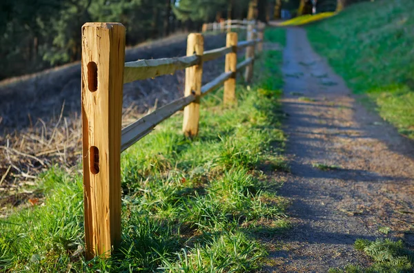 Cedar Picket fence on hill — Stock Photo, Image