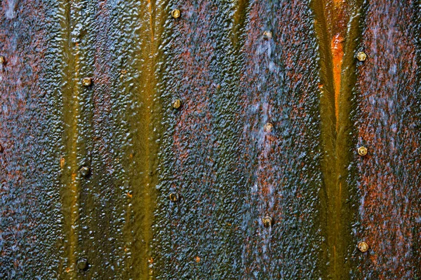 Wet mossy rusty steel plate — Stock Photo, Image