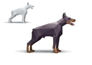 Doberman