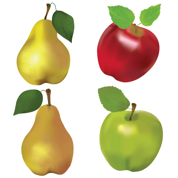 Aantal rode en groene appels en gele peren geïsoleerd op witte achtergrond — Stockvector