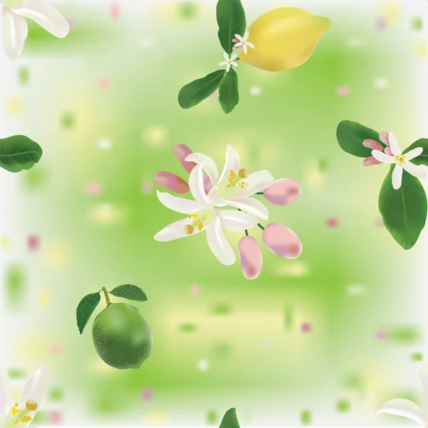 Citrom és lime gyümölcsök és virágok, a varrat nélküli mintát — Stock Vector
