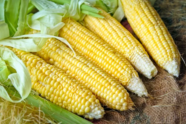 Mazorca de maíz con hojas verdes —  Fotos de Stock
