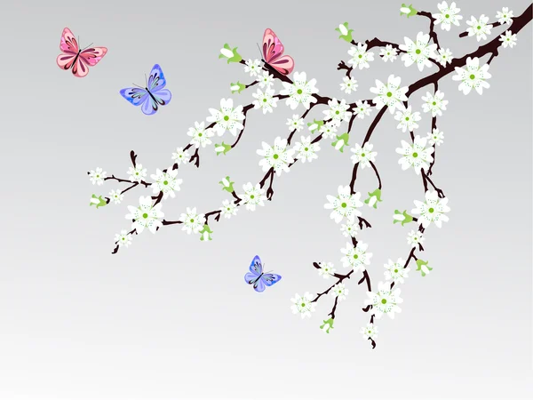 Цветение сакуры — стоковый вектор