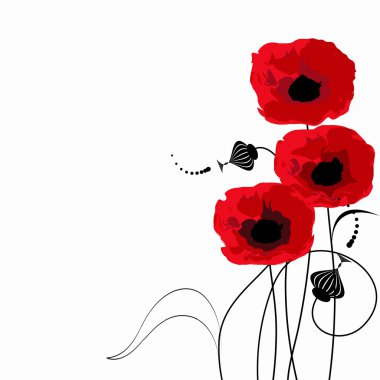 A bouquet of poppies clipart