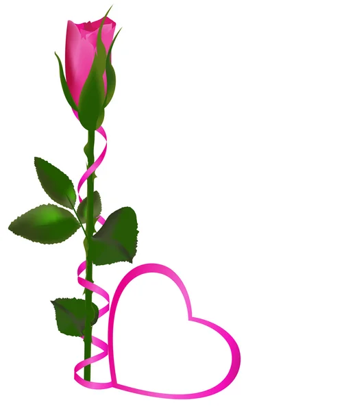 Roze roos met een hart van linten — Stockvector
