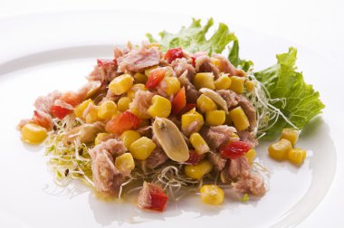 Tuna salad clipart