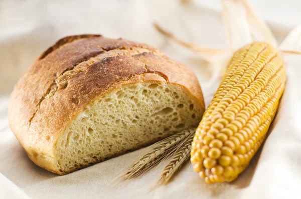 Corn bread — Stock Photo, Image