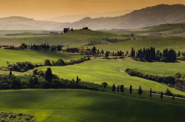 Green tuscany landscape clipart