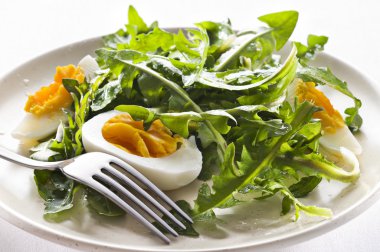 Fresh salad clipart