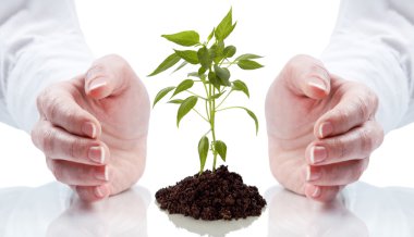 Growth concept clipart