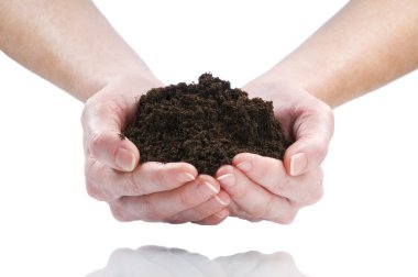 Dirt in hands clipart