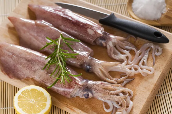 Calamari freschi — Foto Stock