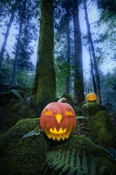 Halloween — Zdjęcie stockowe