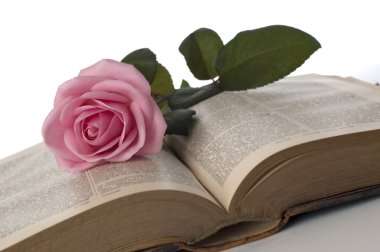 Rose on book clipart