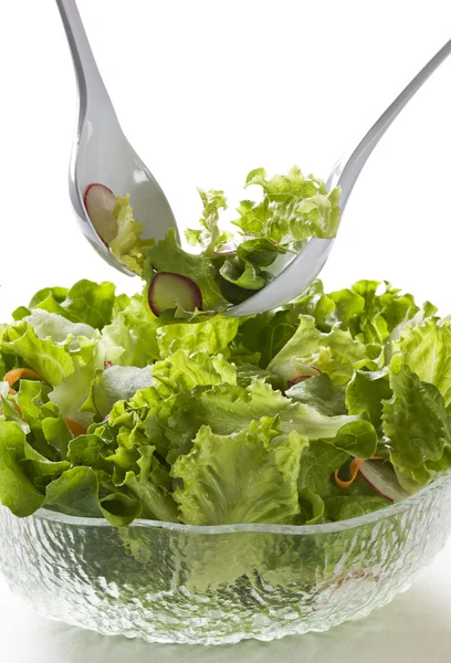 Tuore salaatti — kuvapankkivalokuva