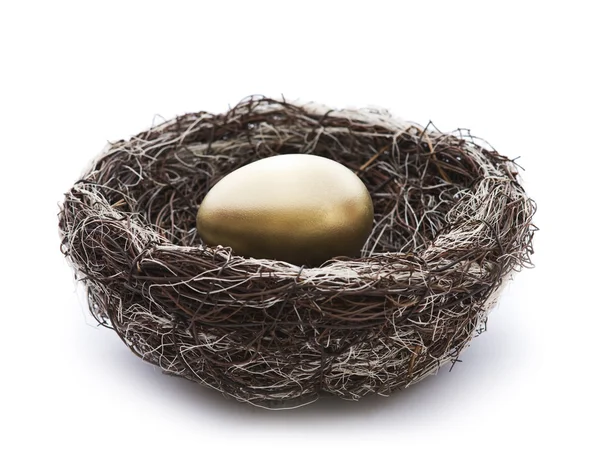 stock image Golden egg