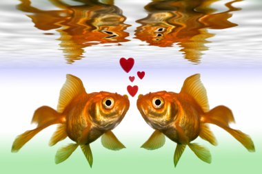 Gold Fish clipart