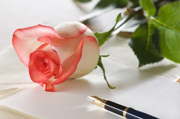 ดอกกุหลาบวาเลนไทน์ — ภาพถ่ายสต็อก