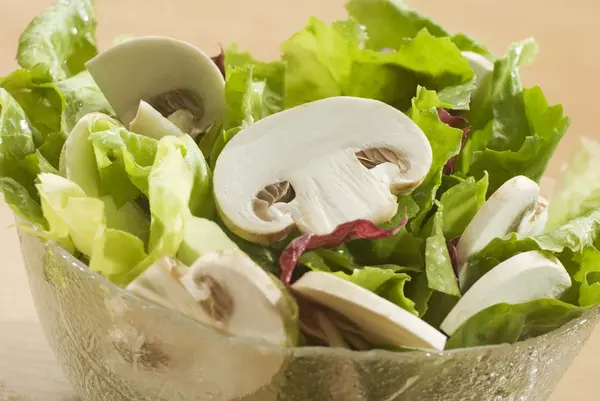 Salada fresca — Fotografia de Stock