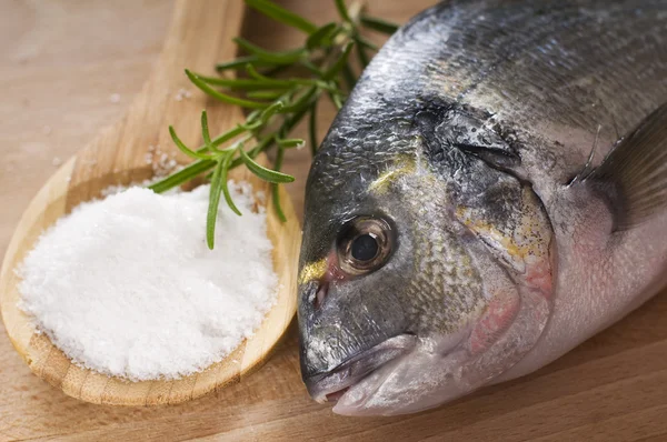 Roher Fisch — Stockfoto