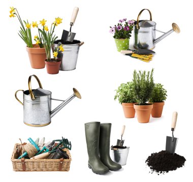 Gardening clipart