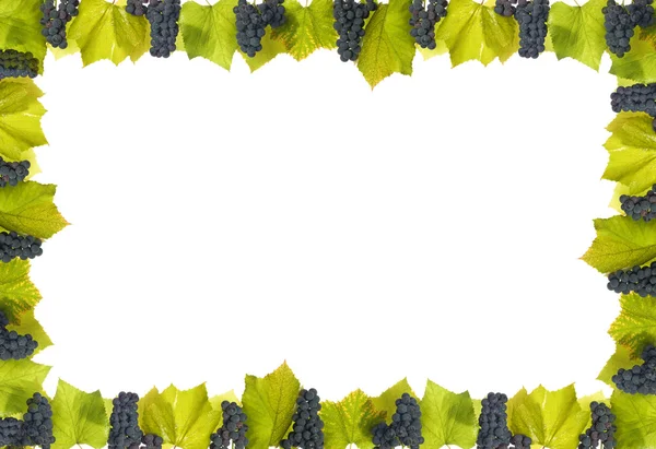 Wine Frame — Stock Photo, Image