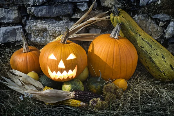 Halloween — Stockfoto