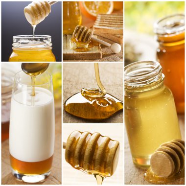 Honey collage clipart