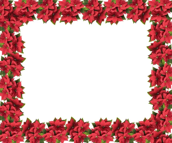 Frame star flower — Stock Photo, Image