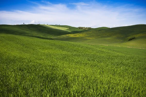 Landskap i Toscana — Stockfoto