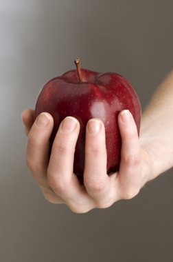 Apple in hand clipart
