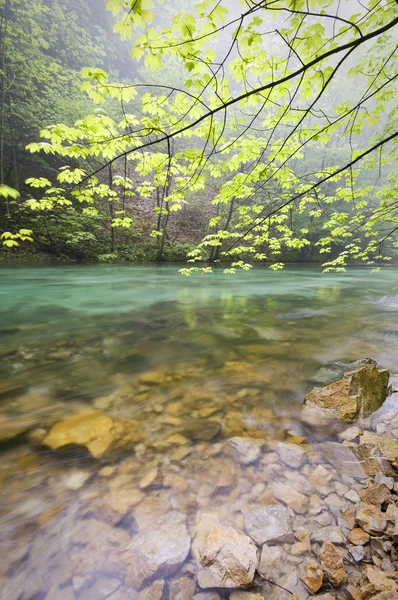 Klidná řeka — Stock fotografie