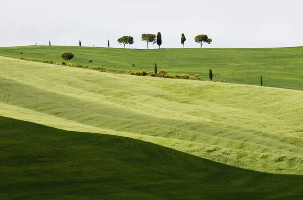 Toscana — Stockfoto