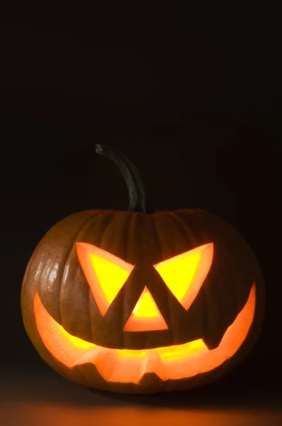 Halloween. — Fotografia de Stock