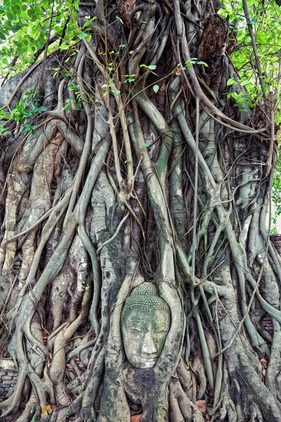 Hoofd van de zandsteen buddha — Stockfoto
