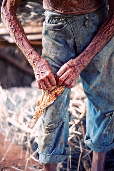 stock image Farmer hands